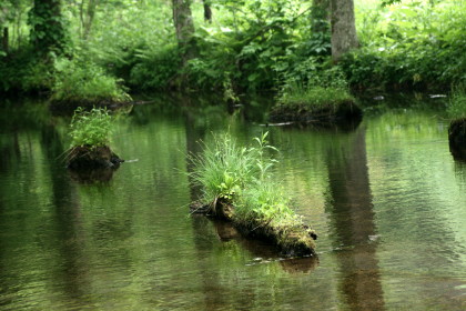 f0041606_19103485.jpg