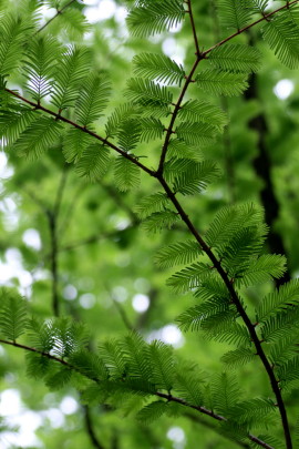 f0041606_19142986.jpg