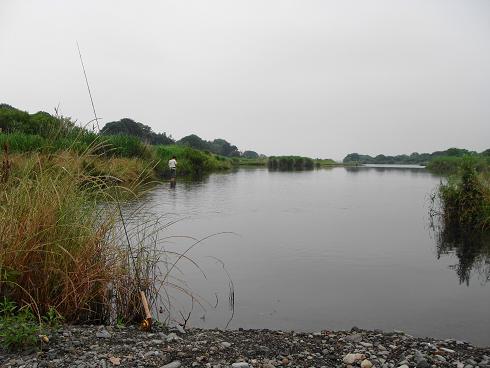 e0123808_014939.jpg