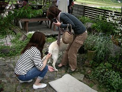 c0190010_211117.jpg