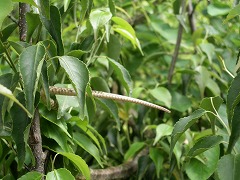 c0190010_21242339.jpg