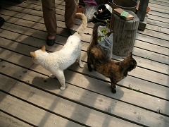 c0190010_2132478.jpg