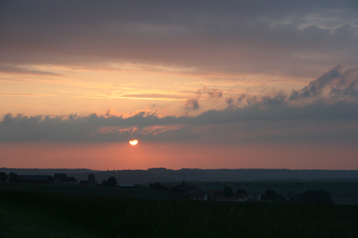 d0070113_65946.jpg