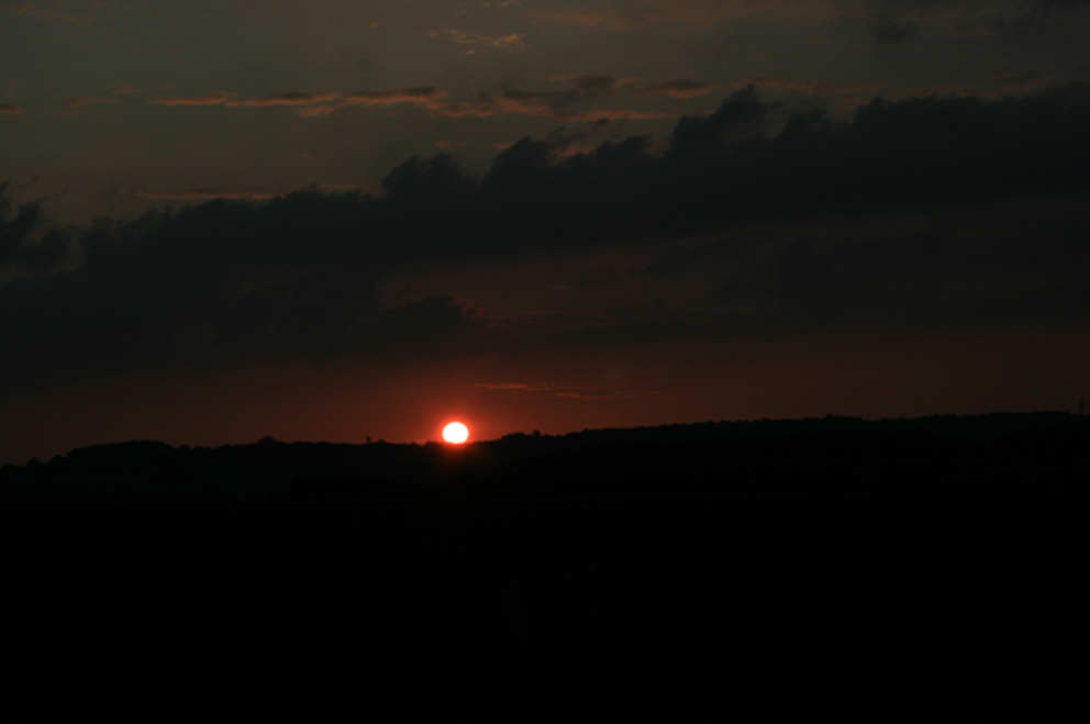 d0070113_662465.jpg
