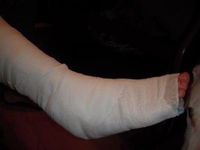 e0121418_22514737.jpg