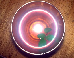 c0007822_8535549.jpg