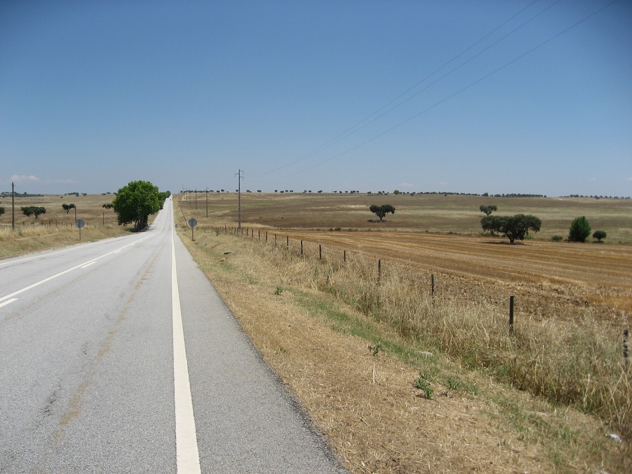 d0133127_1542032.jpg