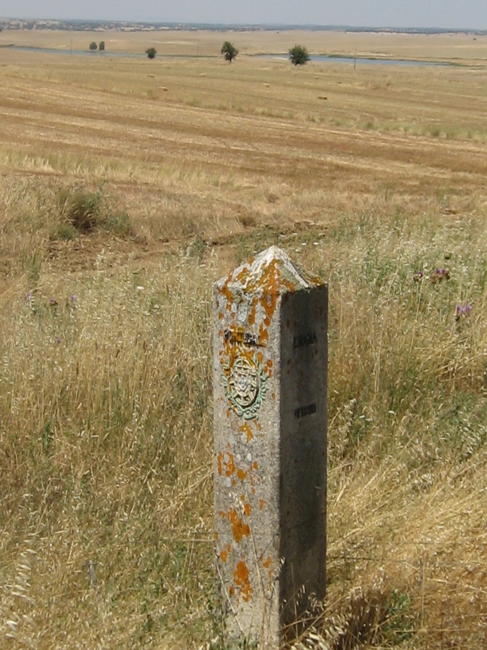 d0133127_1595788.jpg