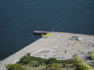 a0055835_17433485.jpg