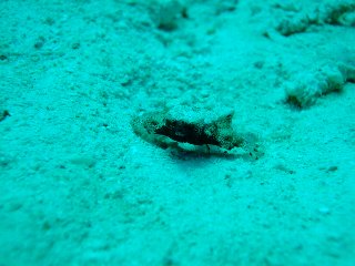 b0003235_4102751.jpg