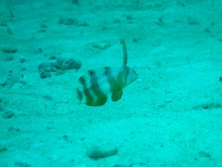 b0003235_410788.jpg