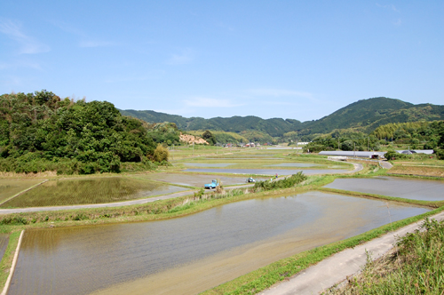 b0013735_19522658.jpg