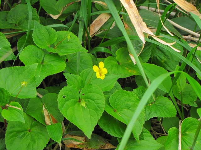 b0097836_10435428.jpg