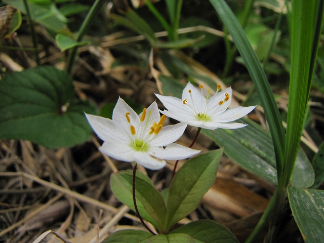 b0097836_10444050.jpg