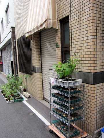 c0156438_18364514.jpg