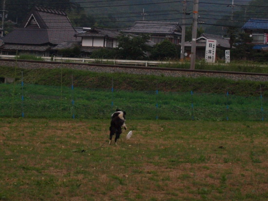 c0072843_19134848.jpg