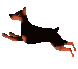 c0119160_2284111.gif