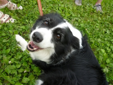 d0093462_8121133.jpg