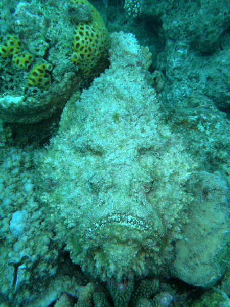 b0062363_23351570.jpg