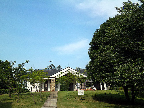 b0101263_1442425.jpg