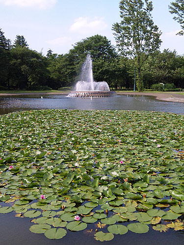 b0101263_1443164.jpg