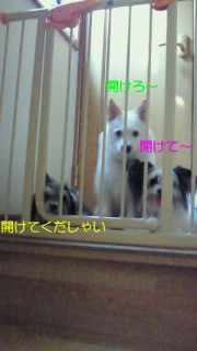 f0192863_12503916.jpg