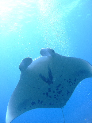 d0102664_0445232.jpg