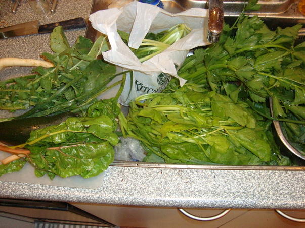 d0152765_205113100.jpg