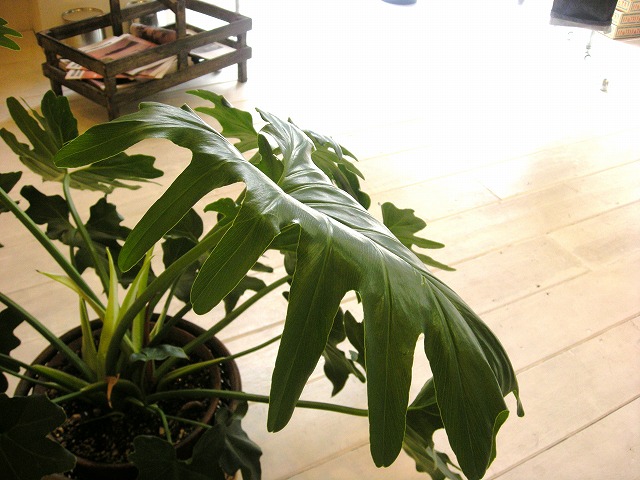 f0224266_13583262.jpg
