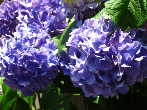 a0167672_2123521.jpg