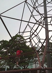 a0102580_9153777.jpg
