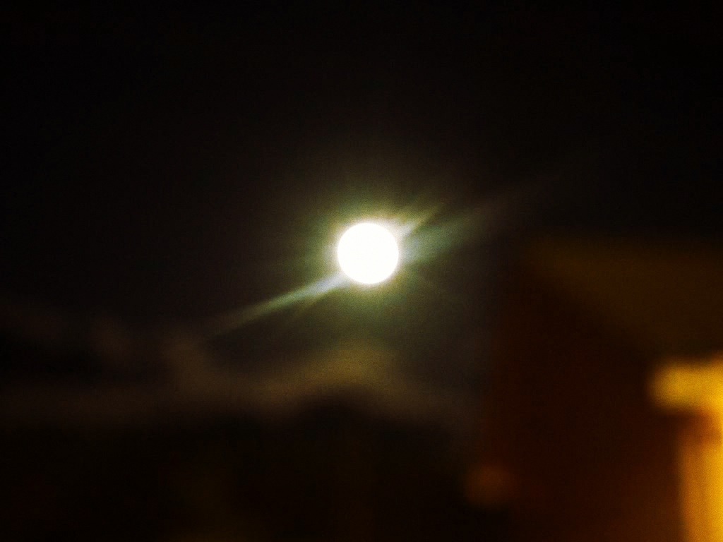 a0119085_3384651.jpg
