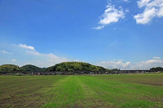 e0190885_200529.jpg