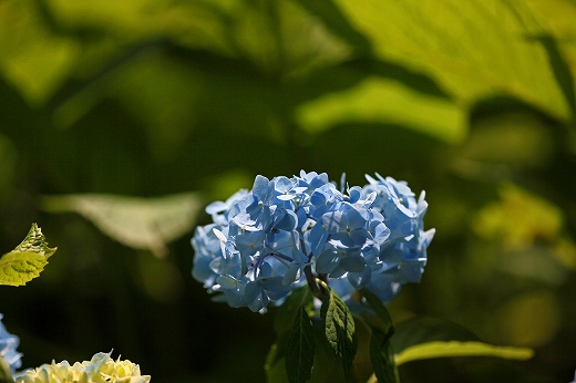 e0190885_2012679.jpg