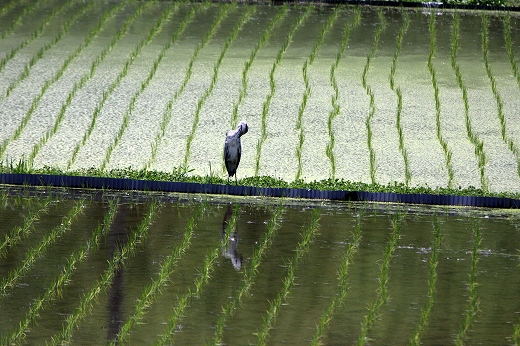 e0190885_20136.jpg
