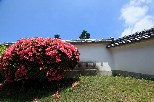 e0190885_2031428.jpg