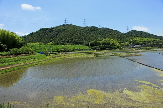 e0190885_2044133.jpg