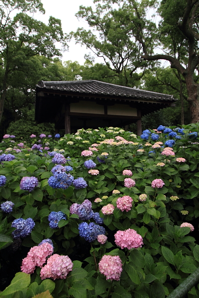 e0051888_22512521.jpg
