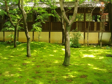 d0125890_2122573.jpg