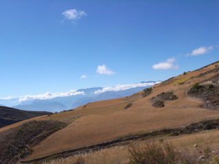 a0137192_23485211.jpg