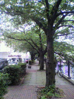 f0082794_2141792.jpg
