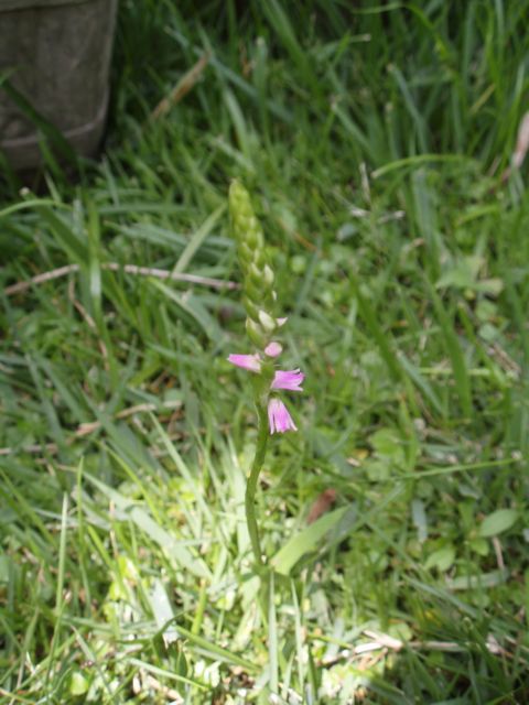 f0130894_21305445.jpg