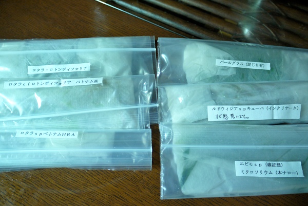 c0225297_10113165.jpg