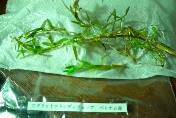 c0225297_1011462.jpg