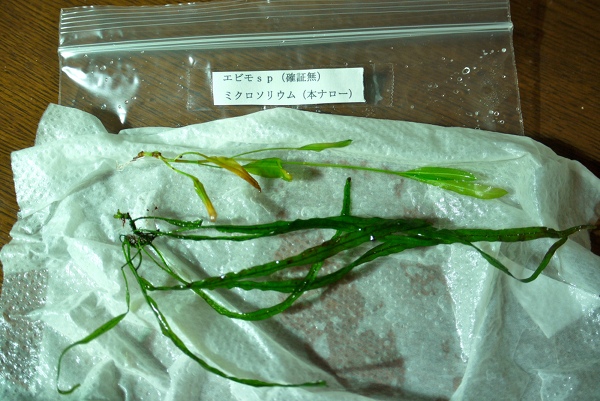 c0225297_1012381.jpg