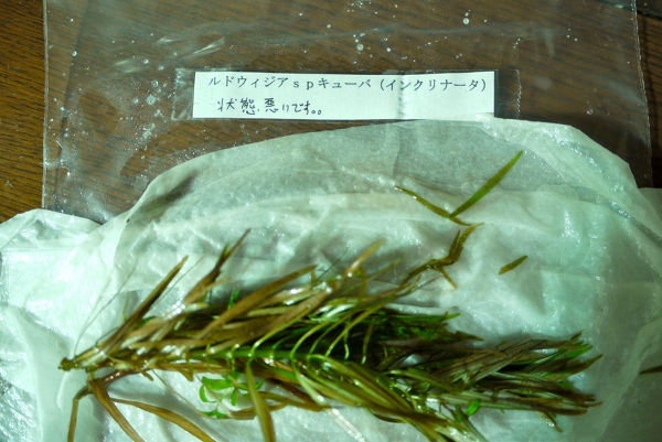 c0225297_10125241.jpg