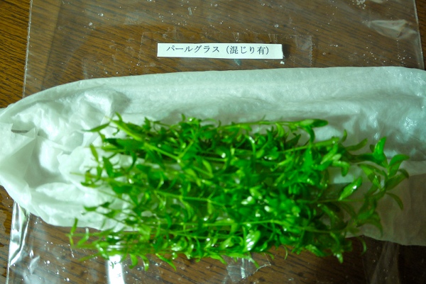 c0225297_10131188.jpg