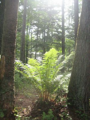 f0201297_1012529.jpg