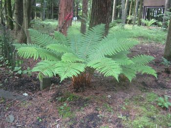 f0201297_10223717.jpg