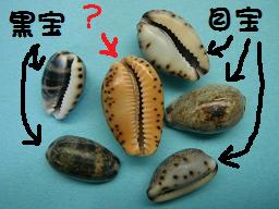 a0125598_23233932.jpg